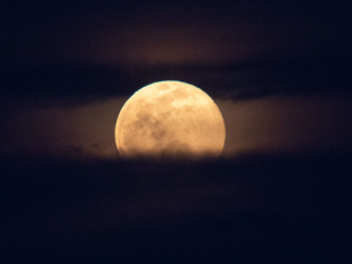 romantic moon 04
