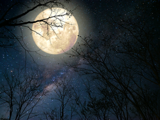 romantic moon 05